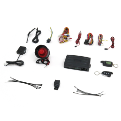 2 Way LCD Alarm with Remote Start - Part Number: STRS9950