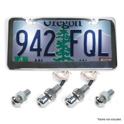 Stainless Steel Super Bright LED Lighted Car License Plate Bolts Fastener & Nuts - Part Number: KICBBOLTS