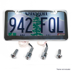 Stainless Steel License Plate Lighted Bolts - Part Number: KICBBOLTSB