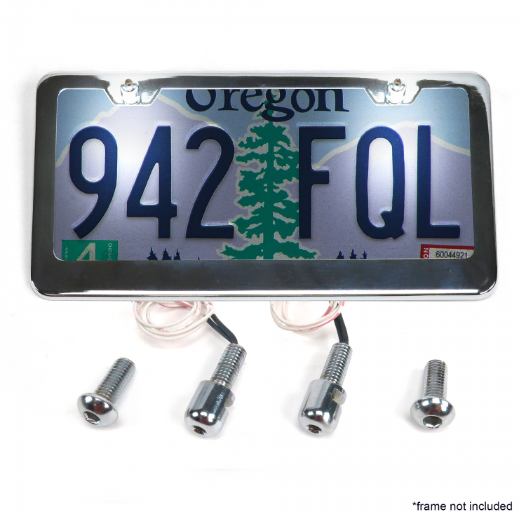 Stainless Steel License Plate Lighted Bolts Johnnylawmotors Com